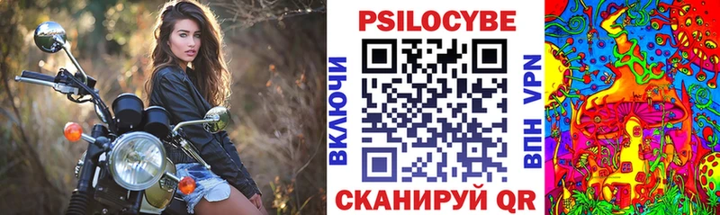 Купить где  Кодинск  Псилоцибиновые грибы ЛСД 