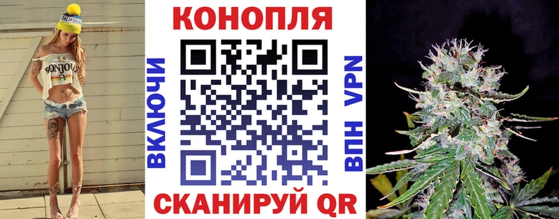 Купить  Кодинск  Конопля семена 